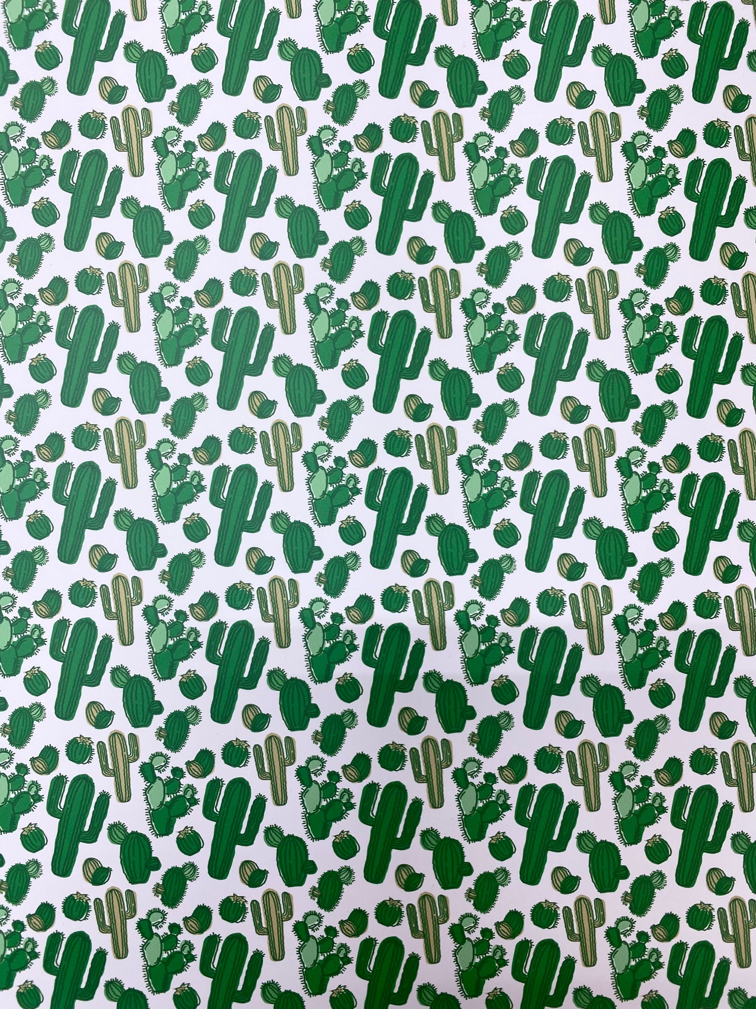 Cactus Pattern HTV