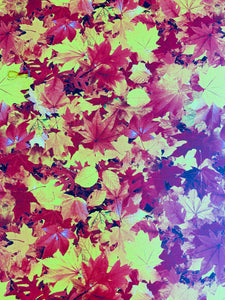 Fall Leaves Pattern HTV
